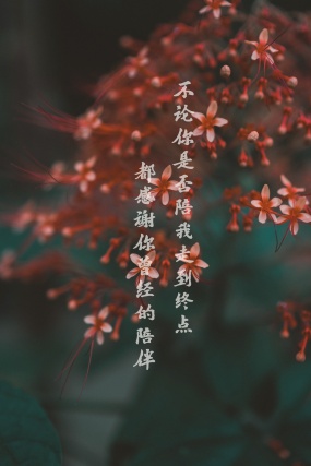 一句话心情语录图片